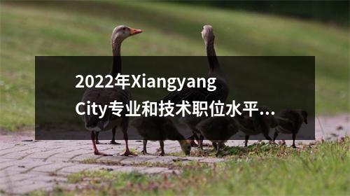 2022年Xiangyang City专业和技术职位水平能力测试的注册已经开始