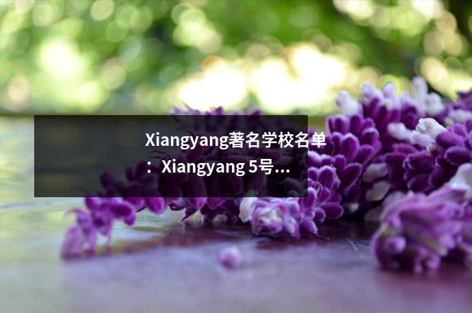 Xiangyang著名学校名单:Xiangyang 5号中学实验中学