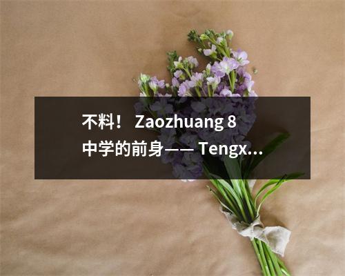 不料! Zaozhuang 8中学的前身—— Tengxian 2号中学