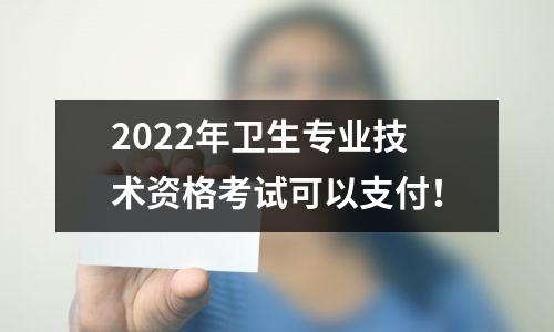 2022年卫生专业技术资格考试可以支付！