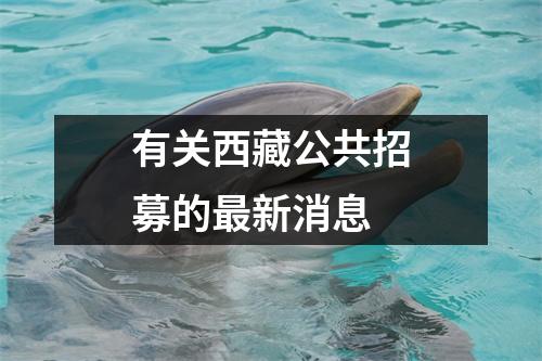 有关西藏公共招募的最新消息
