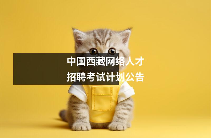 中国西藏网络人才招聘考试计划公告
