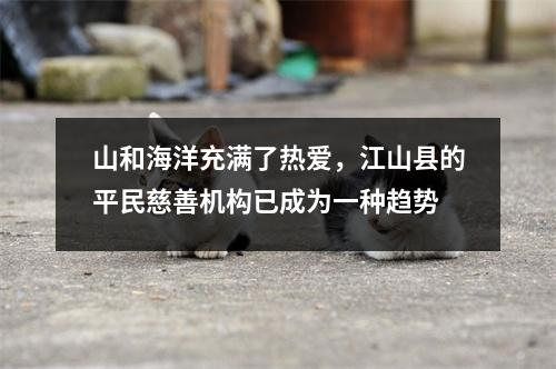 山和海洋充满了热爱,江山县的平民慈善机构已成为一种趋势