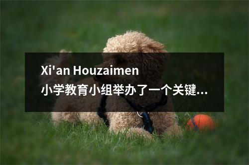 Xi'an Houzaimen小学教育小组举办了一个关键论坛，以促进高质量的教育和教育