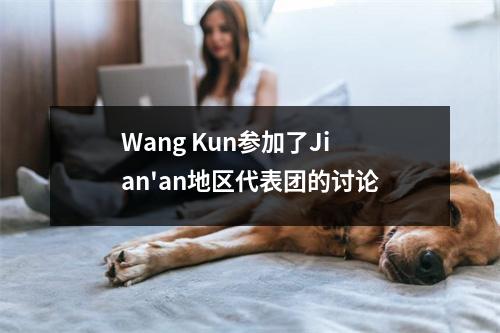 Wang Kun参加了Jian'an地区代表团的讨论