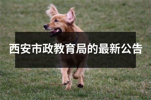 西安市政教育局的最新公告