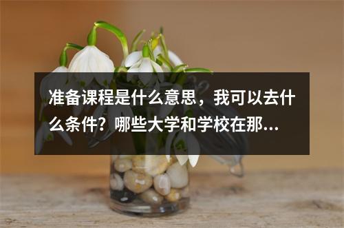 准备课程是什么意思,我可以去什么条件?哪些大学和学校在那里进行准备课?
