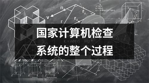 国家计算机检查系统的整个过程