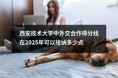 西安技术大学中外交合作得分线在2025年可以接纳多少点