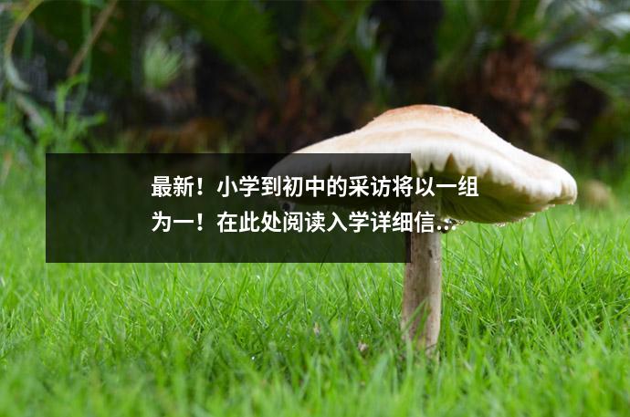 最新！小学到初中的采访将以一组为一！在此处阅读入学详细信息！