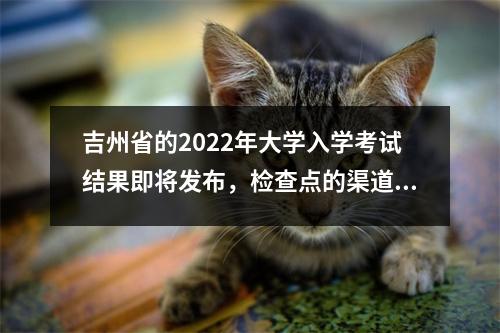 吉州省的2022年大学入学考试结果即将发布，检查点的渠道就在这里