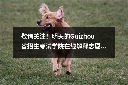 敬请关注！明天的Guizhou省招生考试学院在线解释志愿者填充
