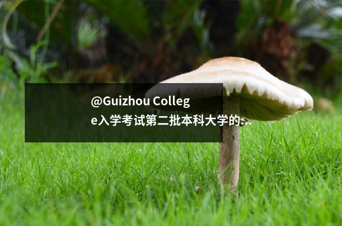 @Guizhou College入学考试第二批本科大学的第二批志愿者已经开始