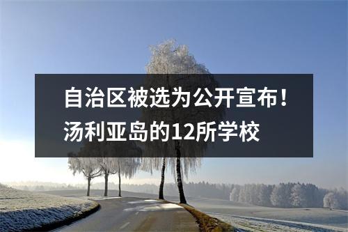自治区被选为公开宣布!汤利亚岛的12所学校