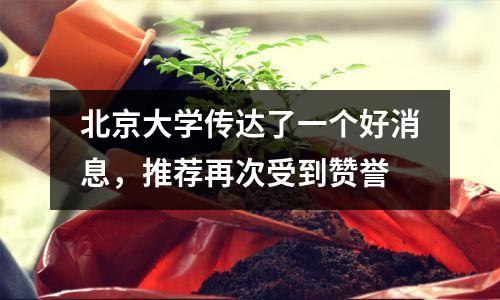 北京大学传达了一个好消息,推荐再次受到赞誉