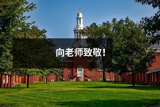 向老师致敬!