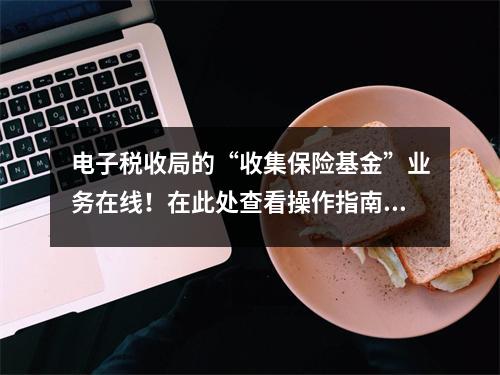 电子税收局的“收集保险基金”业务在线!在此处查看操作指南→