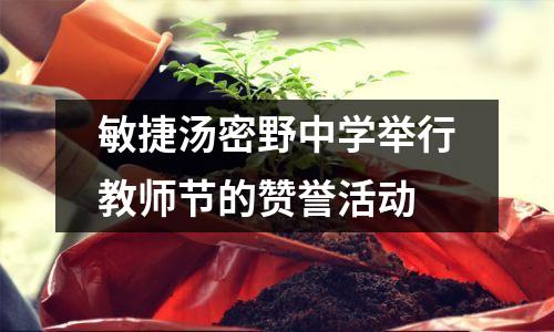敏捷汤密野中学举行教师节的赞誉活动