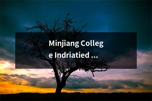 Minjiang College Indriatied Middle School推出图像大使“ Lei Xiaoxing”与AI拥有,这是福建省的第一个“数字和智慧Lei Feng”首次亮相