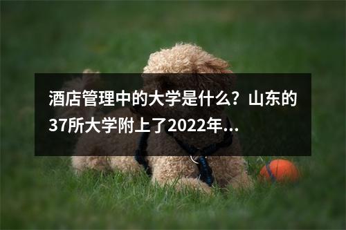 酒店管理中的大学是什么?山东的37所大学附上了2022年的入学评分线