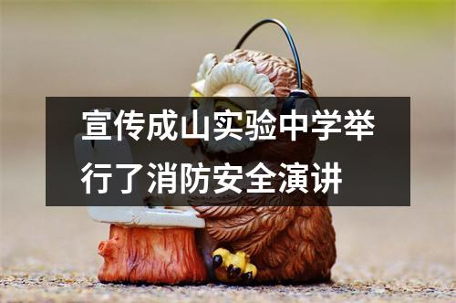 宣传成山实验中学举行了消防安全演讲