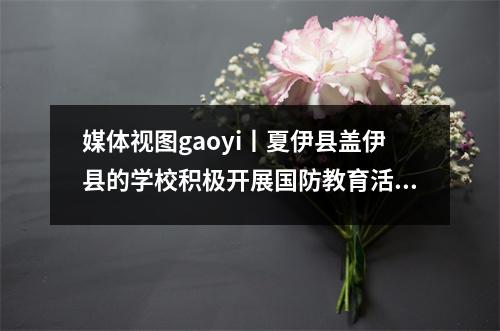 媒体视图gaoyi丨夏伊县盖伊县的学校积极开展国防教育活动