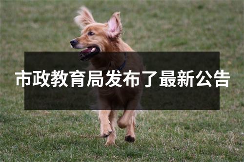 市政教育局发布了最新公告
