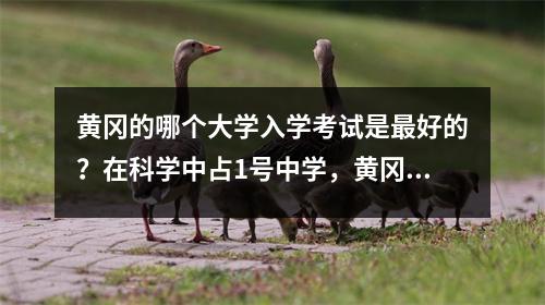 黄冈的哪个大学入学考试是最好的？在科学中占1号中学，黄冈中学的文科艺术中学，以及综合的黄色
