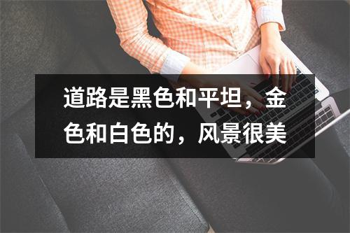 道路是黑色和平坦,金色和白色的,风景很美