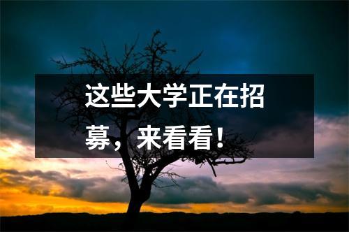 这些大学正在招募,来看看!