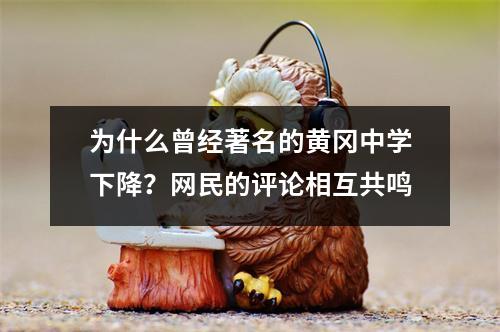 为什么曾经著名的黄冈中学下降?网民的评论相互共鸣