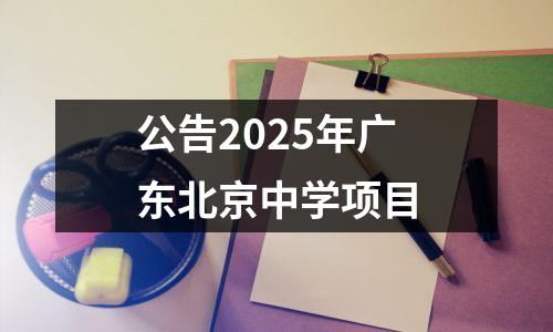 公告2025年广东北京中学项目