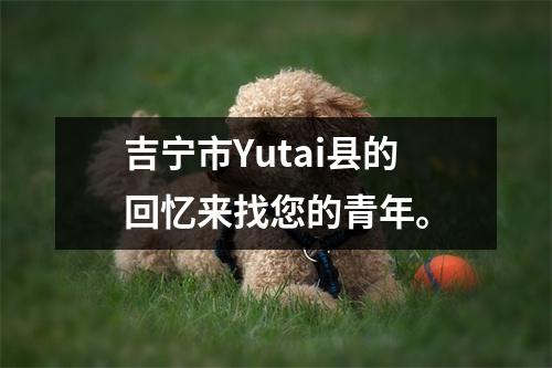 吉宁市Yutai县的回忆来找您的青年。