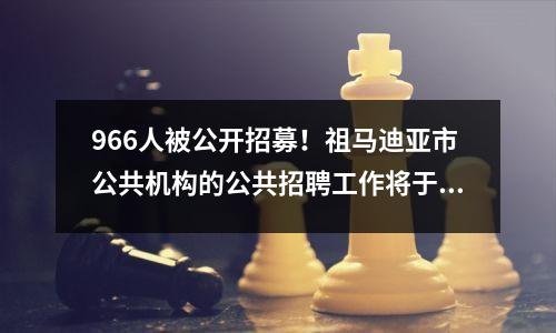 966人被公开招募!祖马迪亚市公共机构的公共招聘工作将于2024年启动