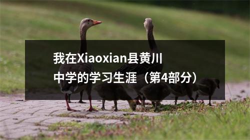 我在Xiaoxian县黄川中学的学习生涯(第4部分)